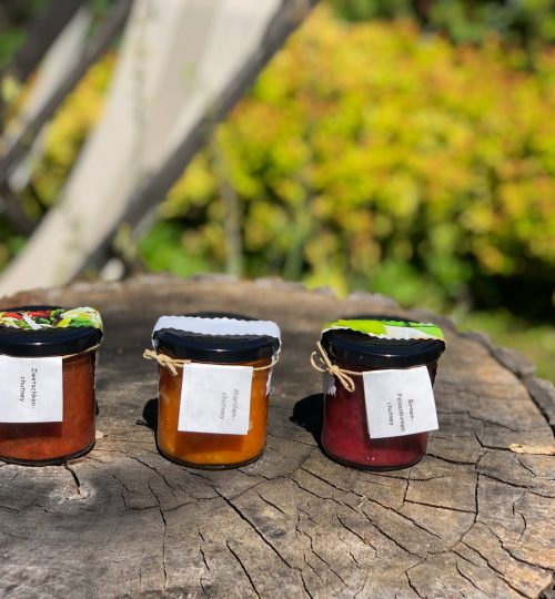 3 Chutneys auf Holz vor Natur